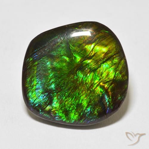 17.53ct 자연스러운 다색 암몰라이트, 팬시한, 불투명체