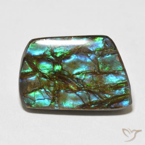 13.92ct 자연스러운 다색 암몰라이트, 팬시한, 불투명체