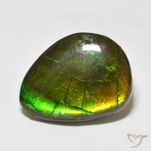 13.55ct 자연스러운 다색 암몰라이트, 팬시한, 불투명체