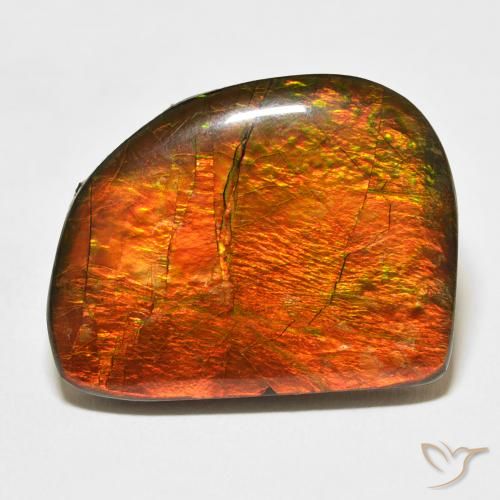21.11ct 자연스러운 다색 암몰라이트, 팬시한, 불투명체
