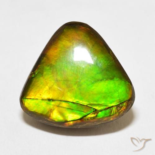 10.86ct 자연스러운 다색 암몰라이트, 일조, 불투명체