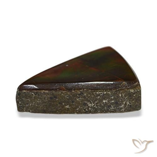 3.12캐럿 천연 멀티컬러 암몰라이트, 트릴리언, 12.4×8.8 mm, 투명한