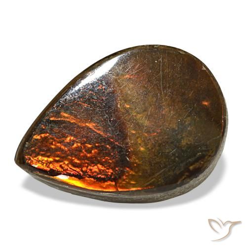 5.02캐럿 천연 멀티컬러 암몰라이트, 배 모양, 14.2×10.1 mm, 불투명체