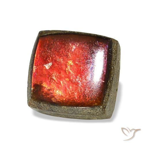 1.45캐럿 천연 멀티컬러 암몰라이트, 스퀘어, 6.3×6.1 mm, 불투명체