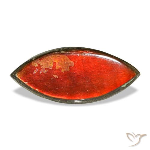 2.22캐럿 천연 멀티컬러 암몰라이트, 마퀴즈, 13.1×5.8 mm, 불투명체