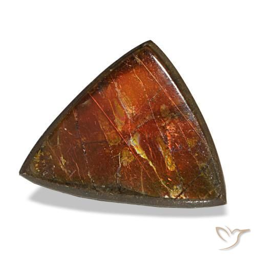 3.33캐럿 천연 멀티컬러 암몰라이트, 트릴리언, 12×9.5 mm, 불투명체