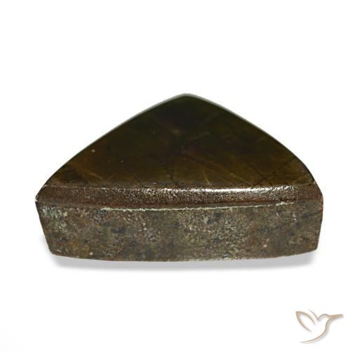 3.33캐럿 천연 멀티컬러 암몰라이트, 트릴리언, 12×9.5 mm, 불투명체