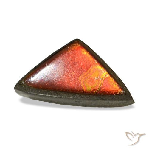 1.47캐럿 천연 멀티컬러 암몰라이트, 트릴리언, 10.7×5.7 mm, 불투명체