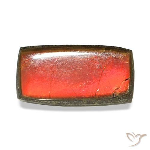 1.51캐럿 천연 멀티컬러 암몰라이트, 바게트, 9.4×4.9 mm, 불투명체