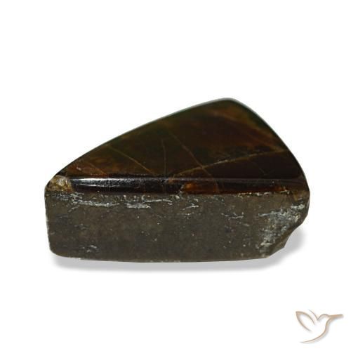 1.64캐럿 천연 멀티컬러 암몰라이트, 트릴리언, 8.8×7 mm, 불투명체