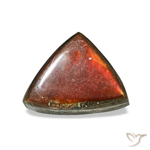 1.17캐럿 천연 멀티컬러 암몰라이트, 트릴리언, 8.2×6.3 mm, 불투명체