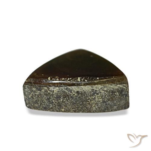 1.17캐럿 천연 멀티컬러 암몰라이트, 트릴리언, 8.2×6.3 mm, 불투명체