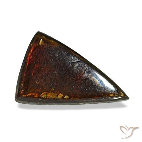 1.89캐럿 천연 멀티컬러 암몰라이트, 트릴리언, 11.1×7.3 mm, 불투명체