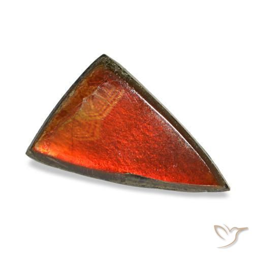 1.11캐럿 천연 멀티컬러 암몰라이트, 트릴리언, 9.7×5.7 mm, 불투명체