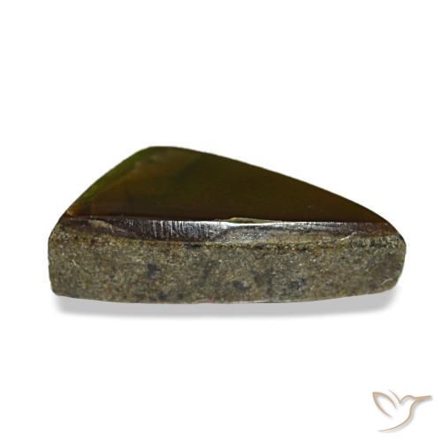 1.11캐럿 천연 멀티컬러 암몰라이트, 트릴리언, 9.7×5.7 mm, 불투명체