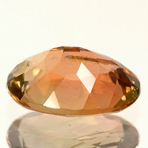 0.56캐럿 천연 다색 홍주석, 타원형 컷, VVS-VS