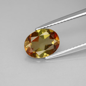 1.61캐럿 천연 멀티컬러 안달루사이트, 타원형 컷, 8.9×6.9 mm, VVS-VS