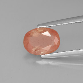 1.30캐럿 천연 허니 레드 안데신 라브라도라이트, 투명한, 8.3×6.2 mm, 투명/반투명