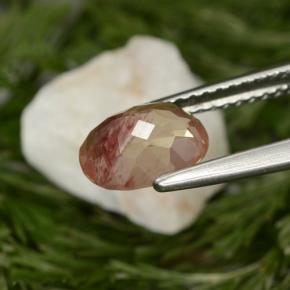 1.29캐럿 천연 허니 레드 안데신 래브라도라이트, 타원형 컷, VVS-VS