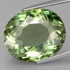 24.47캐럿 천연 그린 아파타이트, 타원형 컷, 21.5×18 mm, VVS-VS