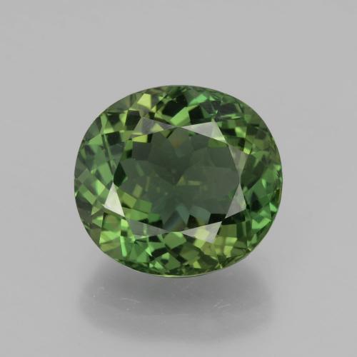 6.01캐럿 천연 짙은 흙빛 녹색 아파타이트, 타원형 컷, 11.9×11 mm, VVS-VS