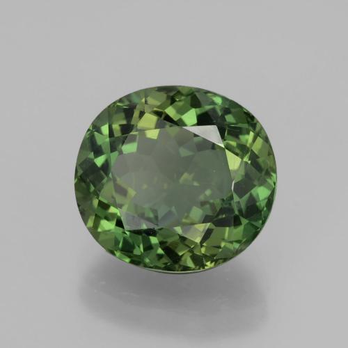 6.01캐럿 천연 짙은 흙빛 녹색 아파타이트, 타원형 컷, 11.9×11 mm, VVS-VS