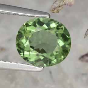 1.58캐럿 천연 딥 그린 아파타이트, 타원형 컷, 7.9×7 mm, VS