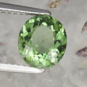 1.58캐럿 천연 딥 그린 아파타이트, 타원형 컷, 7.9×7 mm, VS