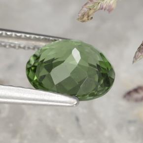 1.58캐럿 천연 딥 그린 아파타이트, 타원형 컷, 7.9×7 mm, VS