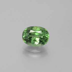 1.69캐럿 천연 그린 아파타이트, 타원형 컷, 8.2×6.2 mm, VVS-VS