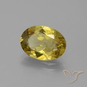 2.76캐럿 천연 가을 노랑 아파타이트, 타원형 컷, 11.1×8.1 mm, SI