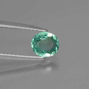 0.62캐럿 천연 그린 아파타이트, 타원형 컷, 6.3×5.3 mm, VVS-VS