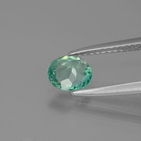 0.62캐럿 천연 그린 아파타이트, 타원형 컷, 6.3×5.3 mm, VVS-VS
