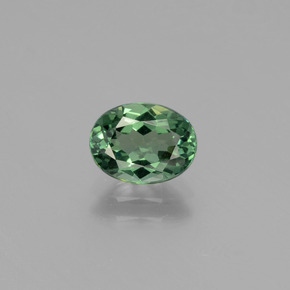 1.18캐럿 천연 블루 그린 아파타이트, 타원형 컷, 7.8×5.8 mm, VVS-VS