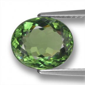 3.12캐럿 천연 딥 포레스트 그린 아파타이트, 타원형 컷, 10.1×8.6 mm, VS-SI