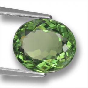 3.12캐럿 천연 딥 포레스트 그린 아파타이트, 타원형 컷, 10.1×8.6 mm, VS-SI