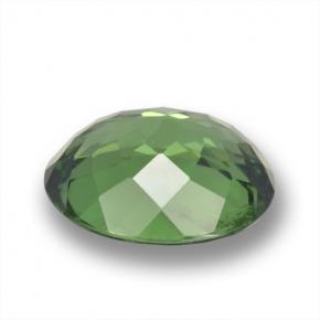 3.12캐럿 천연 딥 포레스트 그린 아파타이트, 타원형 컷, 10.1×8.6 mm, VS-SI