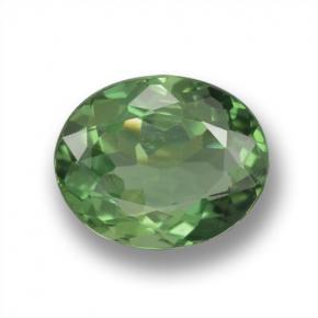 1.38캐럿 천연 미디엄 그린 아파타이트, 타원형 컷, 7.8×6.3 mm, VS-SI
