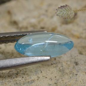 0.75캐럿 천연 라이트 청록색 아파타이트, 보석, 투명한