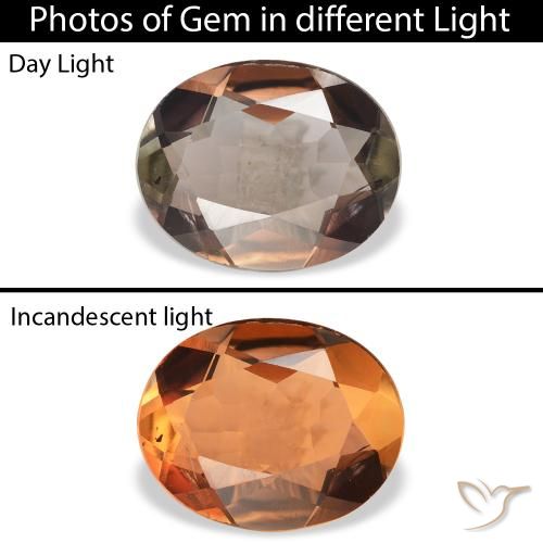 1.68ct 자연스러운 어두운 갈색 악시나이트, 타원형, SI