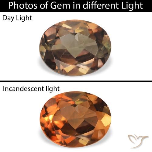 1.26ct 자연스러운 어두운 갈색 악시나이트, 타원형, SI