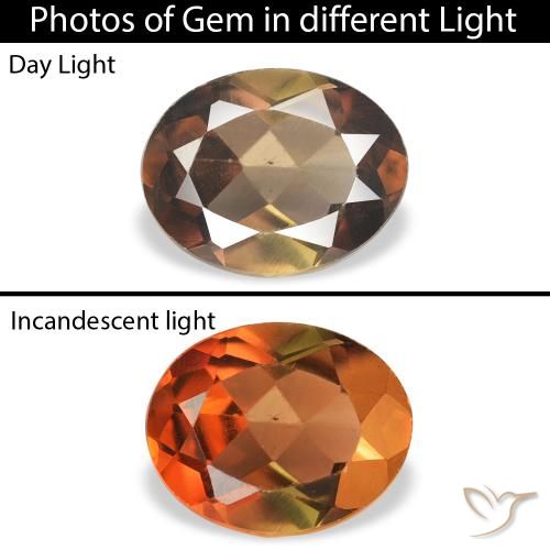 1.07ct 자연스러운 어두운 갈색 악시나이트, 타원형, SI