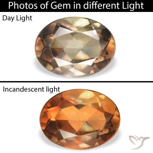 1.23ct 자연스러운 어두운 갈색 악시나이트, 타원형, SI