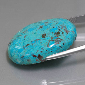 46.34캐럿 천연 멀티컬러 블루 아주라이트, 타원형 컷, 불투명체