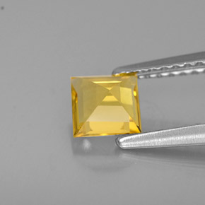 0.55캐럿 천연 골든 옐로우 베릴, 스퀘어, 4.9×4.9 mm, VVS