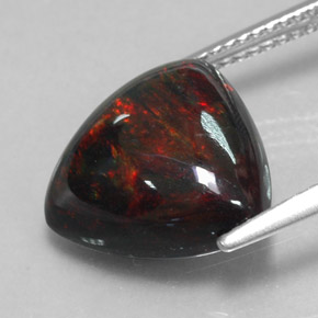4.03캐럿 천연 멀티컬러 블랙 오팔, 트릴리언, 13.1×12.9 mm, 불투명체