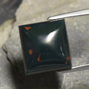 12.04캐럿 천연 점박이 그린 블러드스톤, 스퀘어, 12.7×12.1 mm, 불투명체