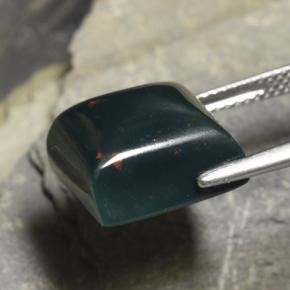12.04캐럿 천연 점박이 그린 블러드스톤, 스퀘어, 12.7×12.1 mm, 불투명체