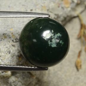 8.69캐럿 천연 점박이 그린 블러드스톤, 라운드 컷, 13.30 mm, 불투명체