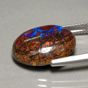 9.88캐럿 천연 다색 볼더 오팔, 타원형 컷, 불투명체